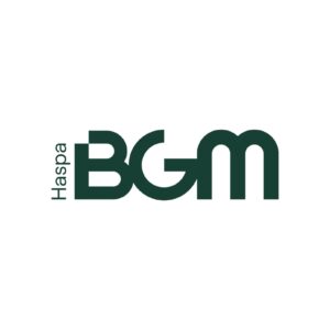 HASPA BGM (Haspa Beteiligungsgesellschaft für den Mittelstand) – Analyse des Werbeagenturmarkts und ausgewählter Werbeagenturen durch FRANCIS DRAKE Pitchberatung